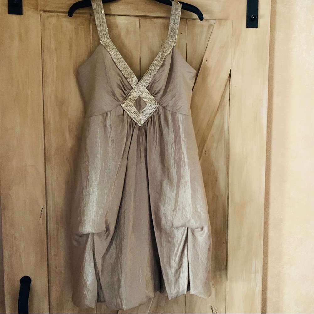 BCBG Dress